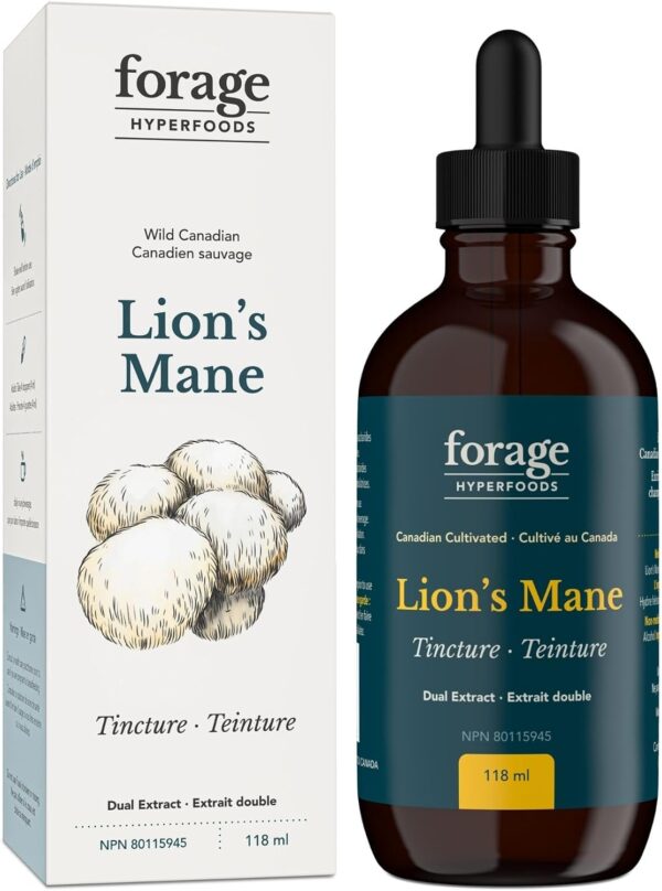 Lion’s mane liquid extract